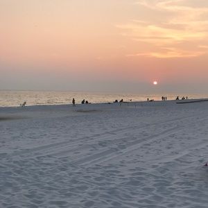 Meet your Posher, Harrison